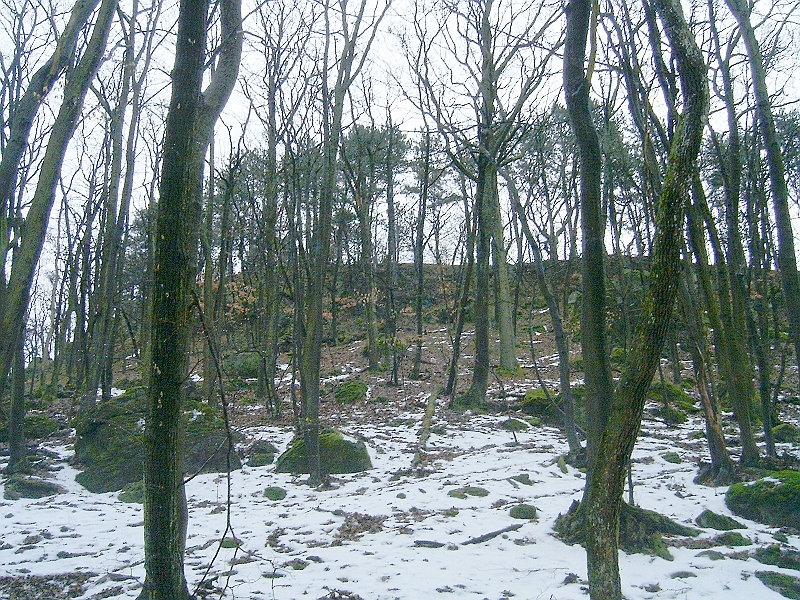 20100220 039.jpg